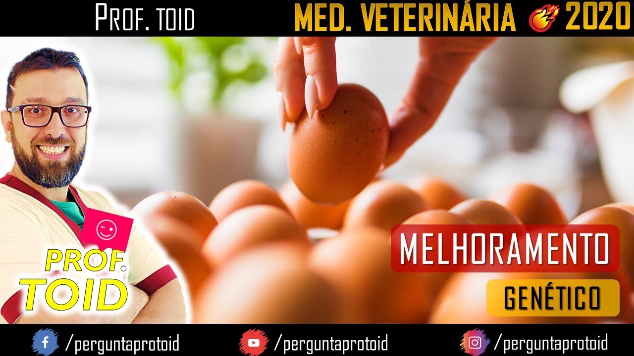 UniFatecie | Diferencial de Seleção e Ganho Genético| Melh. Genético | Turma III | Med. Veterinária