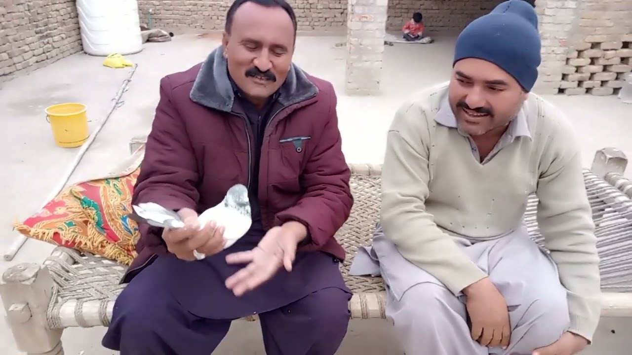 Ustad Rafi ullah Khan Isa khail k Record yafta kaboteron ka shok