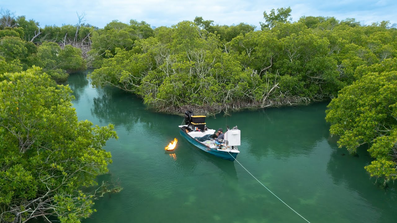 Remote Mangrove Island Camping | Trapping Crabs | CCC