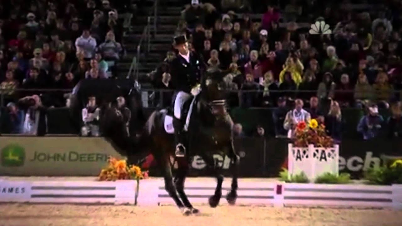 We Are Equestrians~Not Afraid~