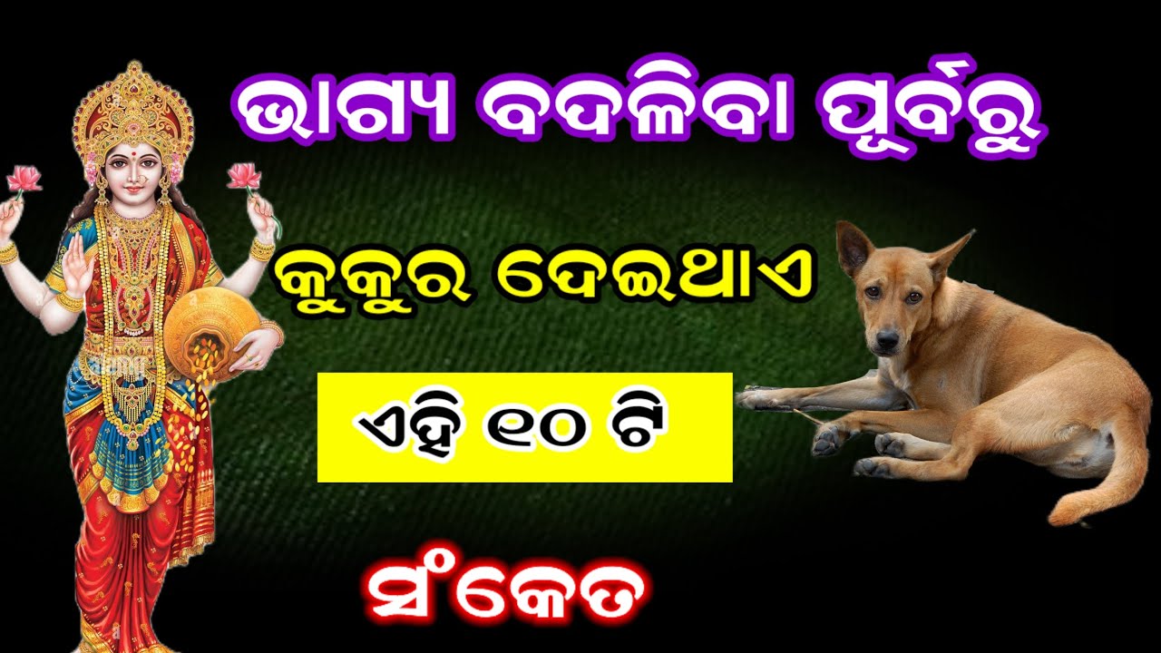 ଭାଗ୍ୟ ବଦଳିବା ପୂର୍ବରୁ କୁକୁର ଦେଇଥାଏ ଏହି ୧୦ ଟି ସଂକେତ//ajira rashifal//vastu tips