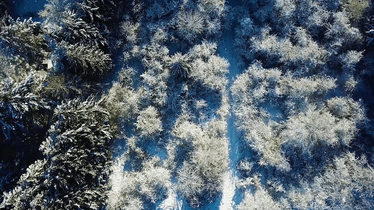 Winter | Willingen 2021 | 4K Drone