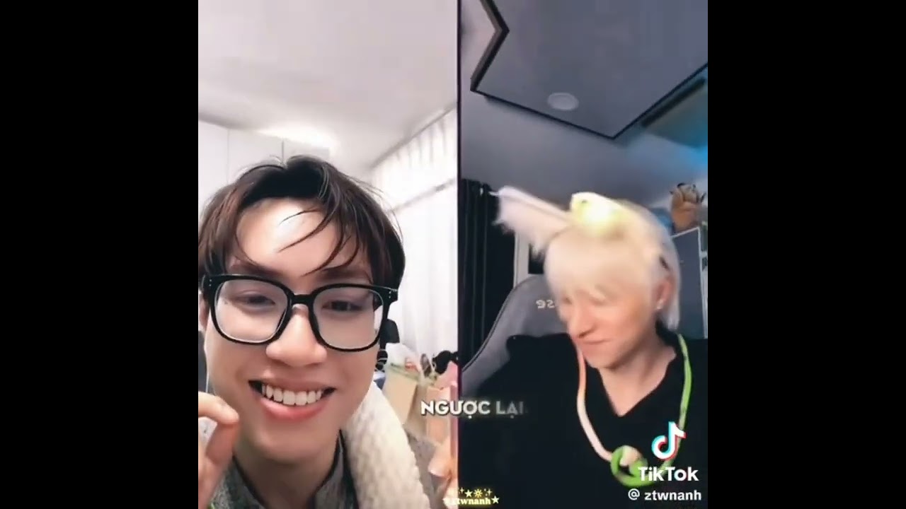 Tổng hợp những video về Bùi Duy Ngọc và Khôi Vũ. cre: Tiktok #buiduyngoc #khoivu #ngocvu