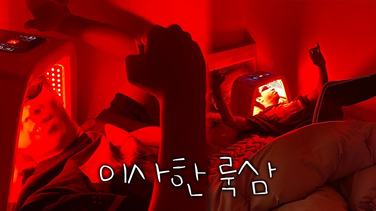 룩삼 근황｜룩삼의 일상 하이라이트