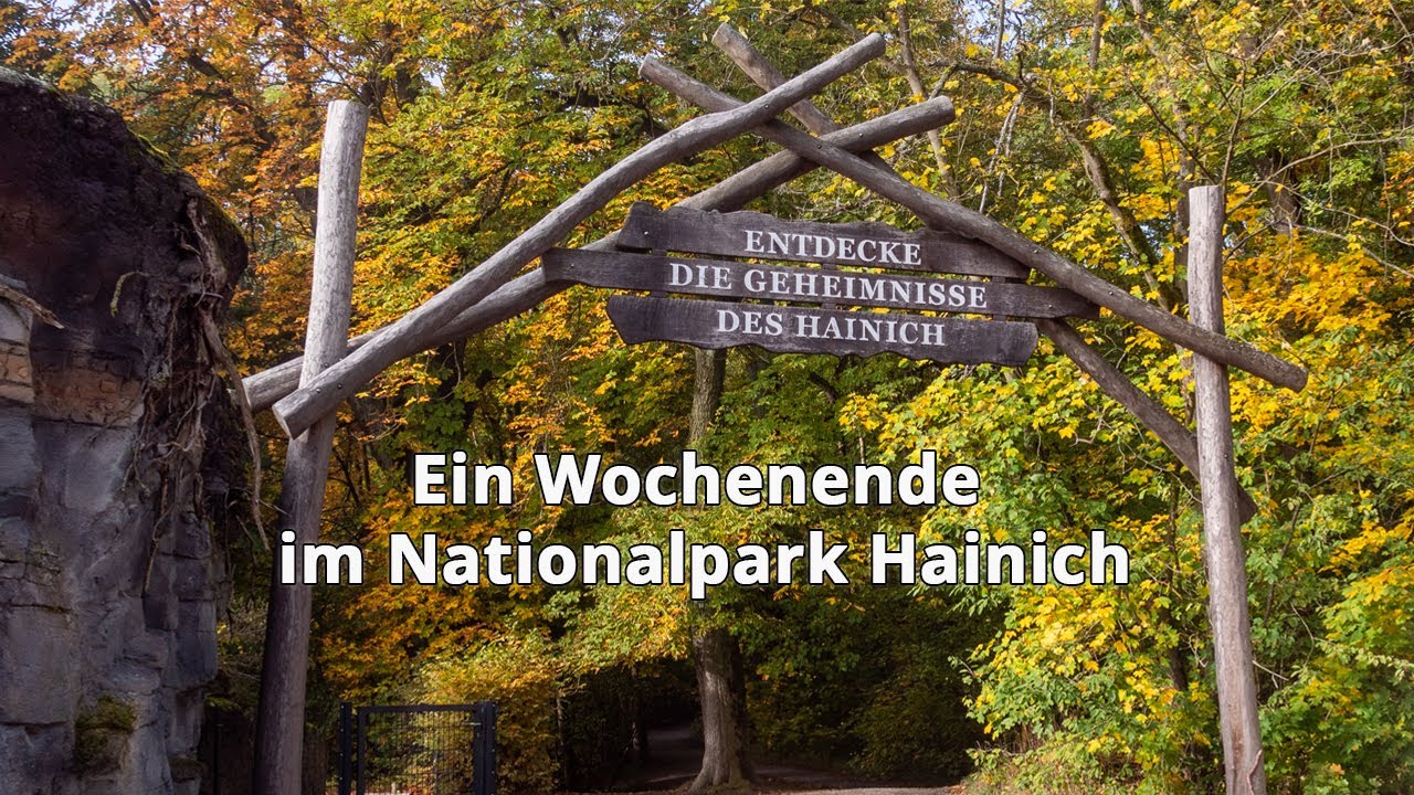 Ein Wochenende im Nationalpark Hainich