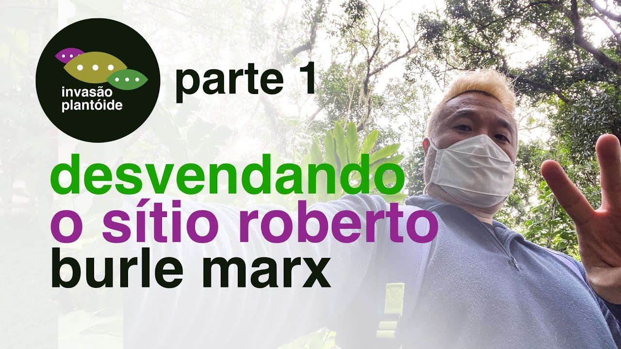 Sítio Roberto Burle Marx | Sombral Graziela Barroso | Philodendron | Invasão Plantóide | Flay