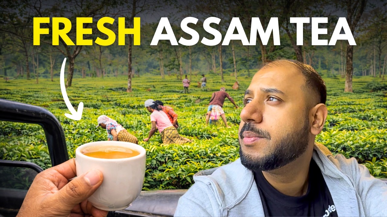 Inside Assam Tea Estate 🇮🇳 | Fresh Organic Tea in Kaziranga