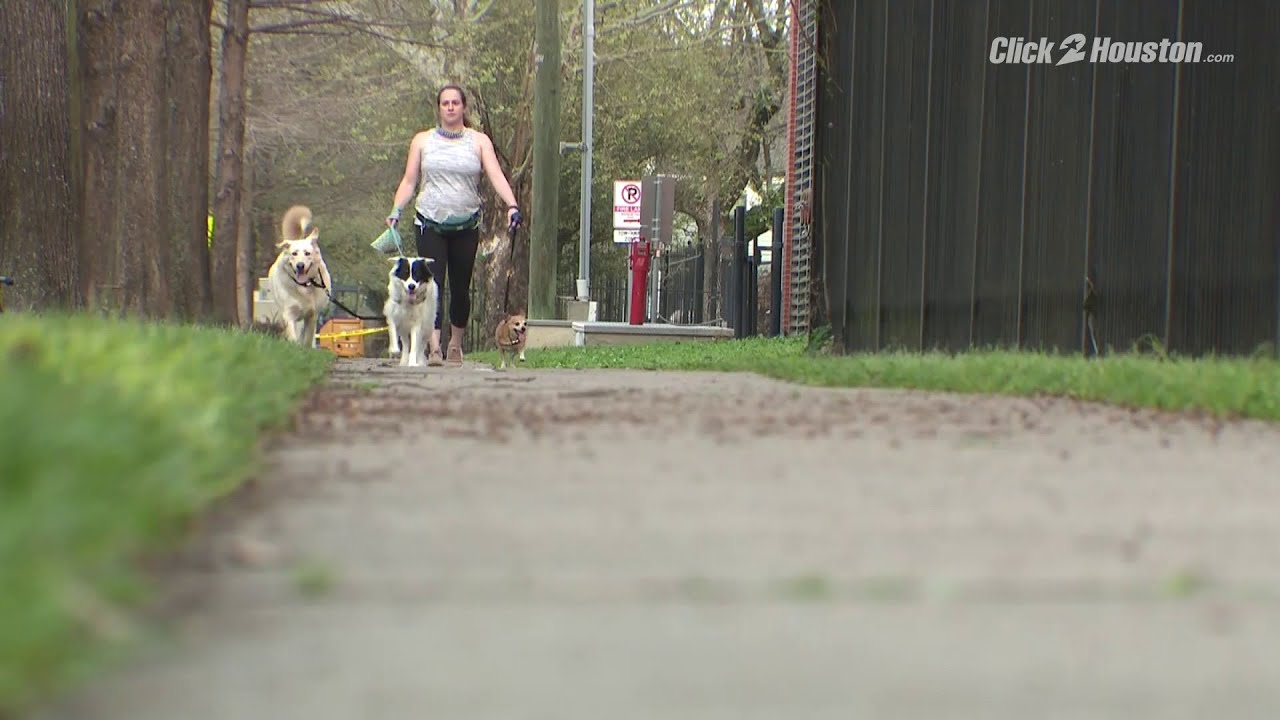 Woman says man exposed himself to her while she was walking in The Heights