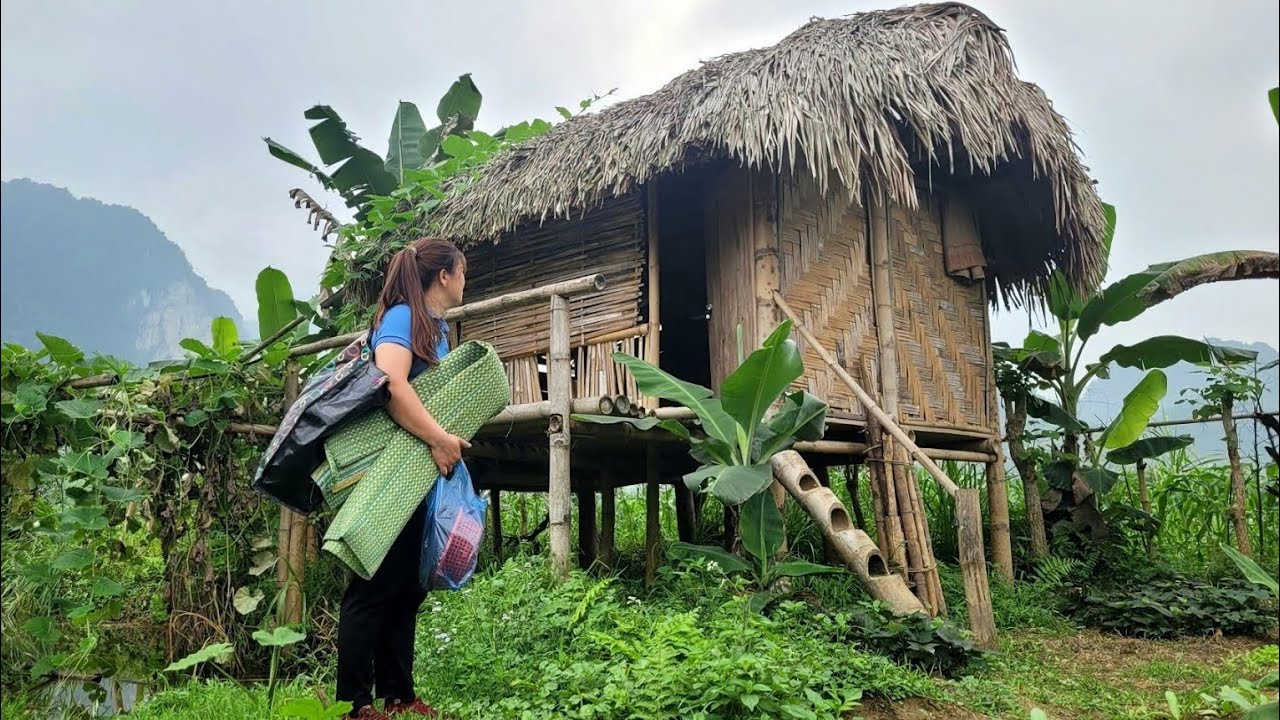 FULL VIDEO: Homeless single mother cleans up old abandoned houses in the woods | @daianfarm