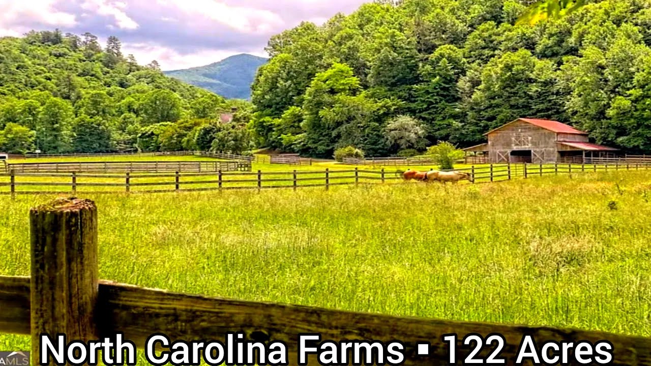 North Carolina Farms For Sale | 122+ Acres | Acreage Cabins | North Carolina Land For Sale #9