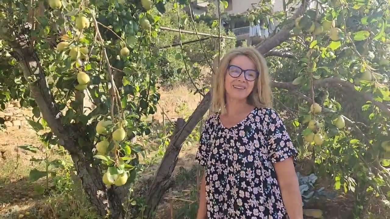 صبحية و  غلة و فطاير بسلق