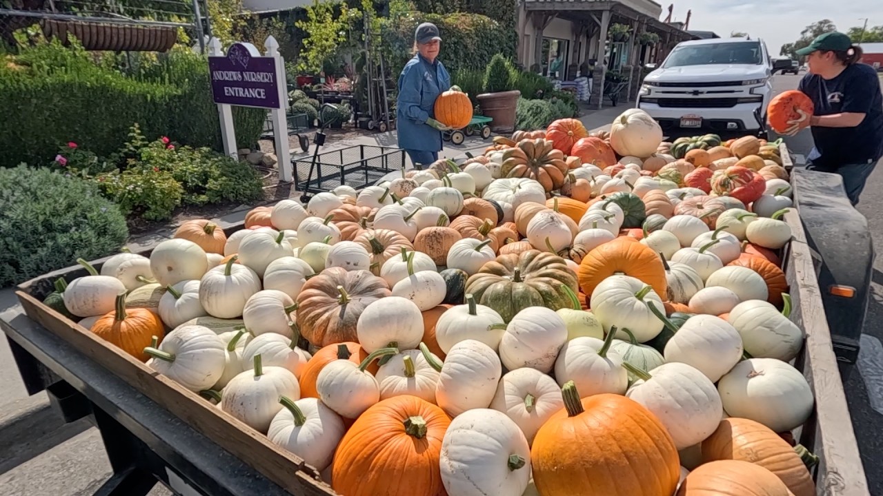 Мои ожидания превзошли себя!!! 🎃🙌😍