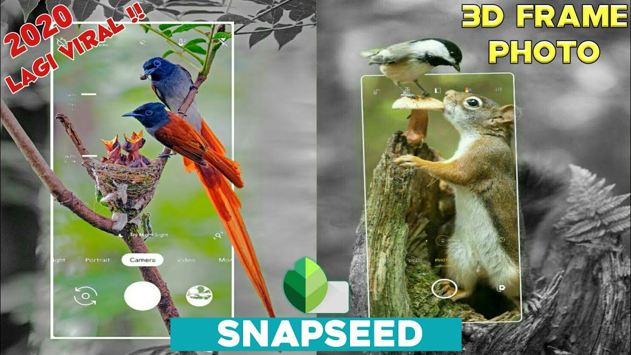 Cara Edit Foto Kekinian 3D Frame Photo ll Tutorial Snapseed [Mega Moer]