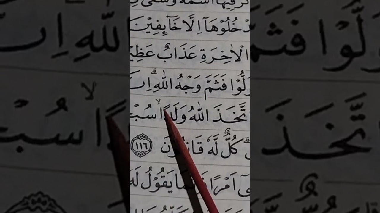 Belajar tajwid surat Al-Baqarah ayat 116