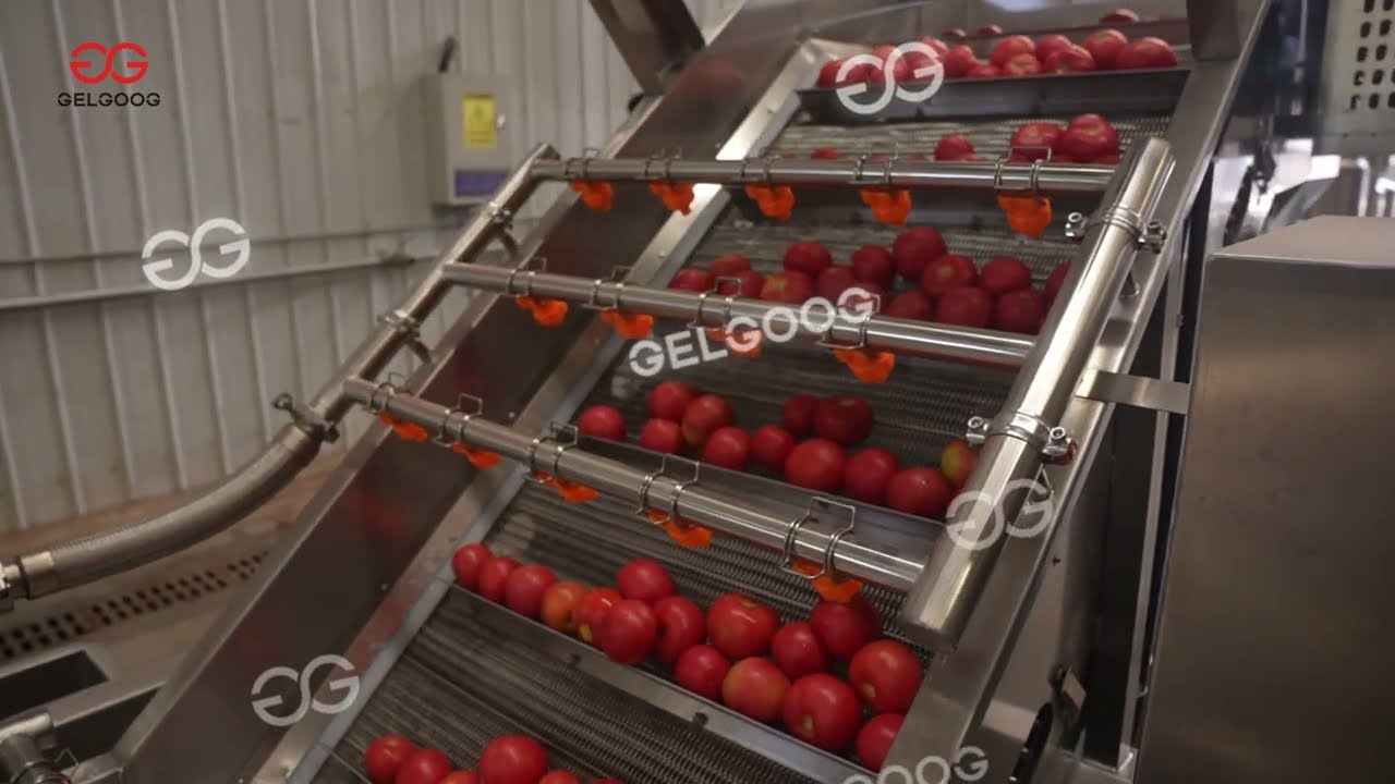 Efficient Tomato Washing Machine for Industrial Food Processing