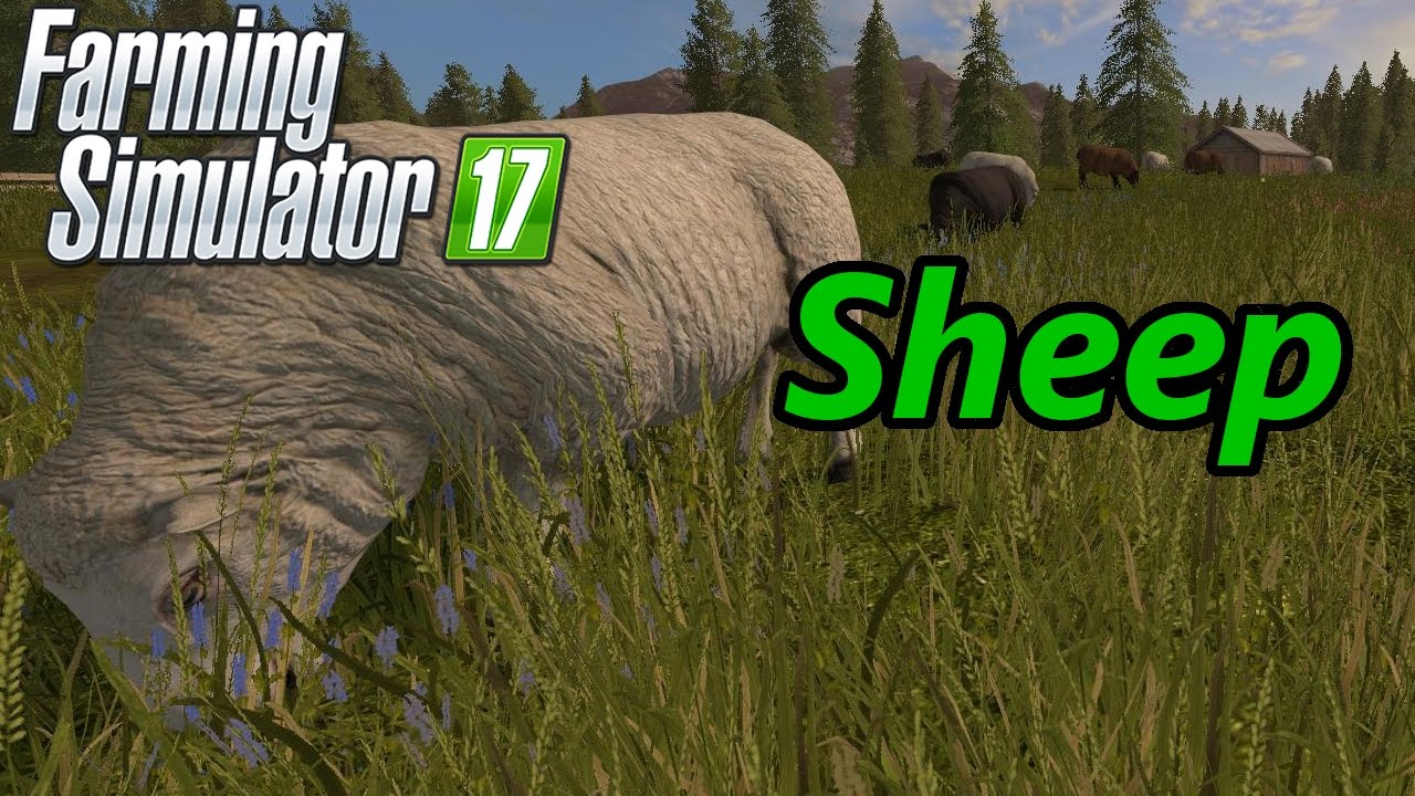 Обучающее видео по Farming Simulator 17 | Овцы