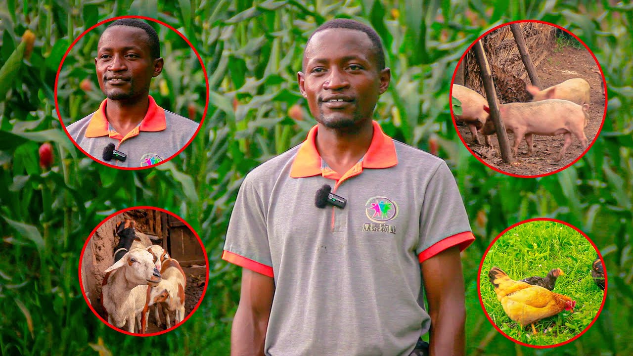 Umurimyi -Mworozi afise  ibitungwa vyinshi muma hegitari  manini atubwira ubuhinga akoresha