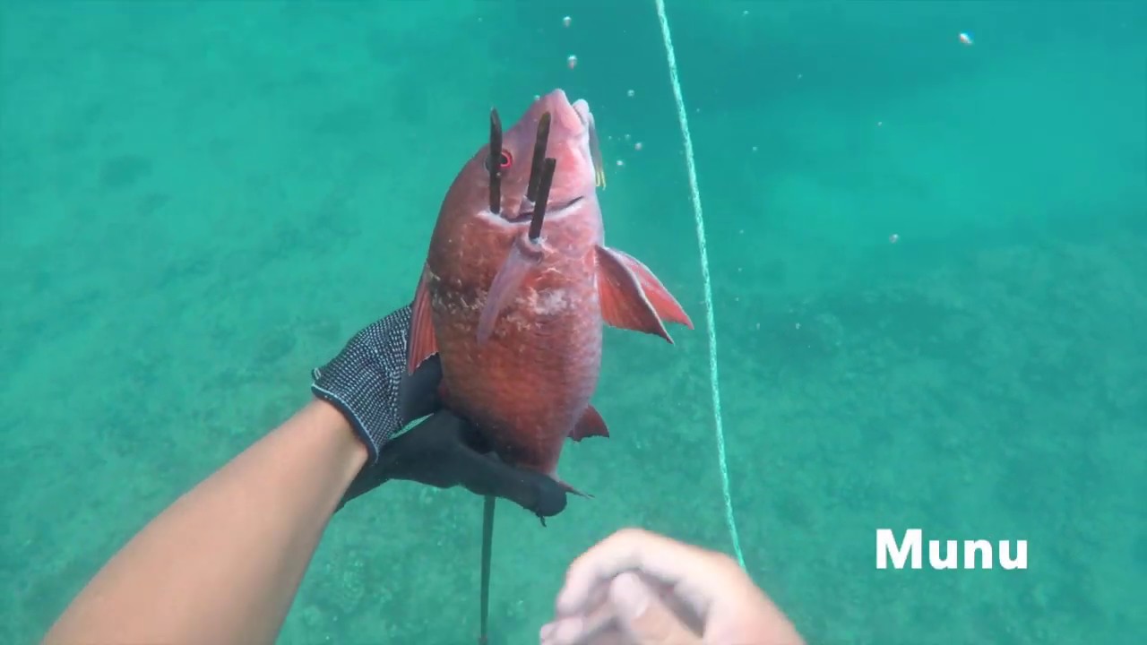 3-Prong Diving (Ep 2)