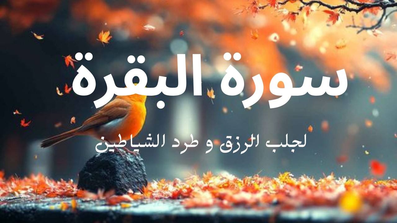 سورة البقرة كاملة | تلاوة خاشعة تريح القلب وتطرد الشياطين 🤍