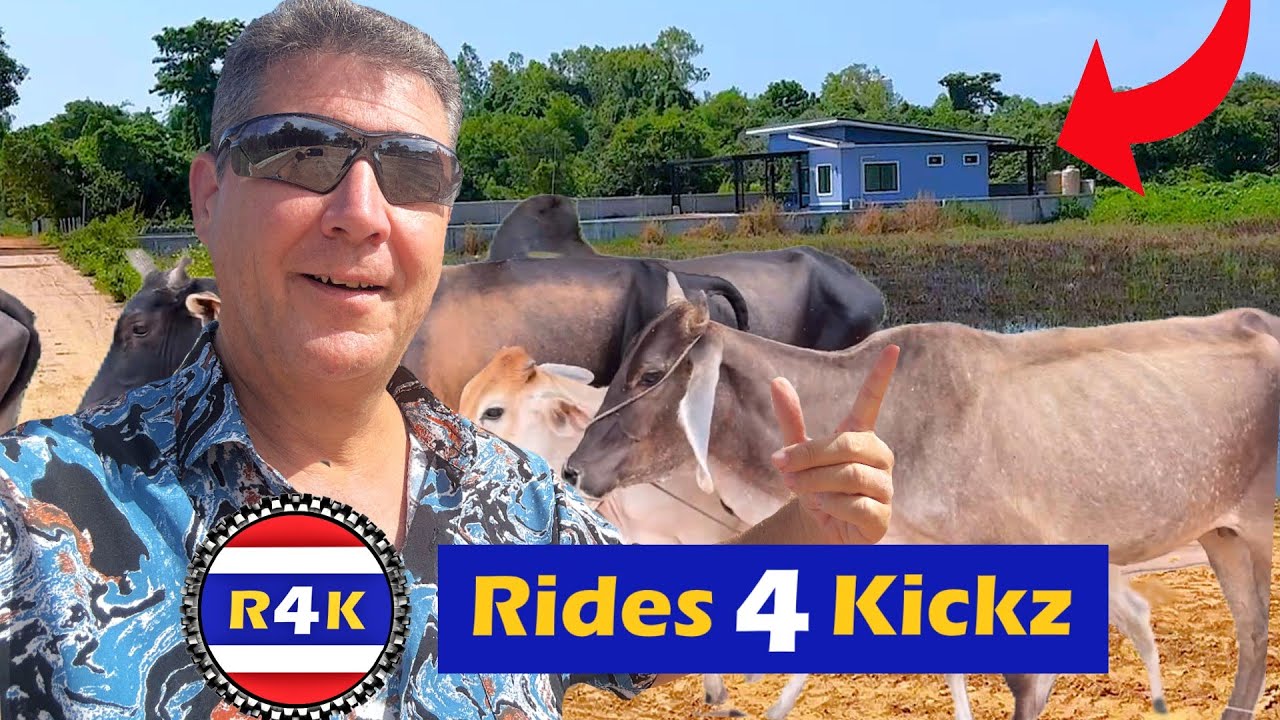 Finding My New Home in Rural Thailand
