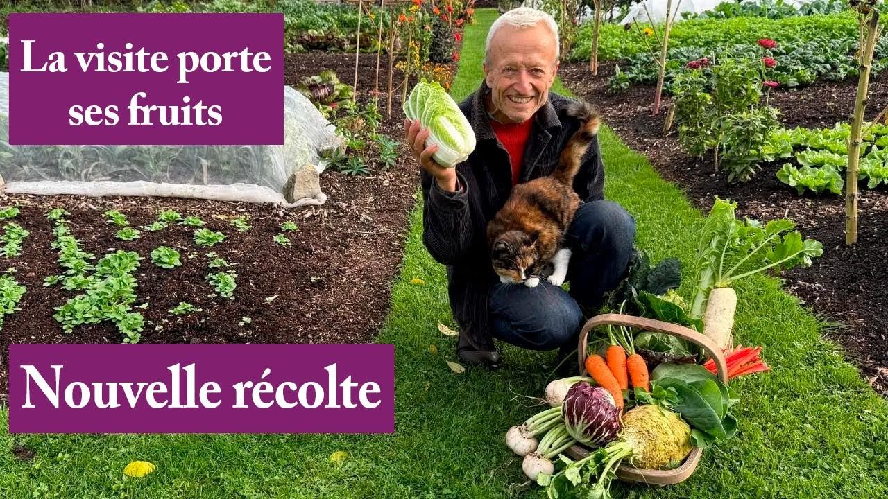 Récolte d’octobre sans labour : profitez des derniers trésors du potager d’été !