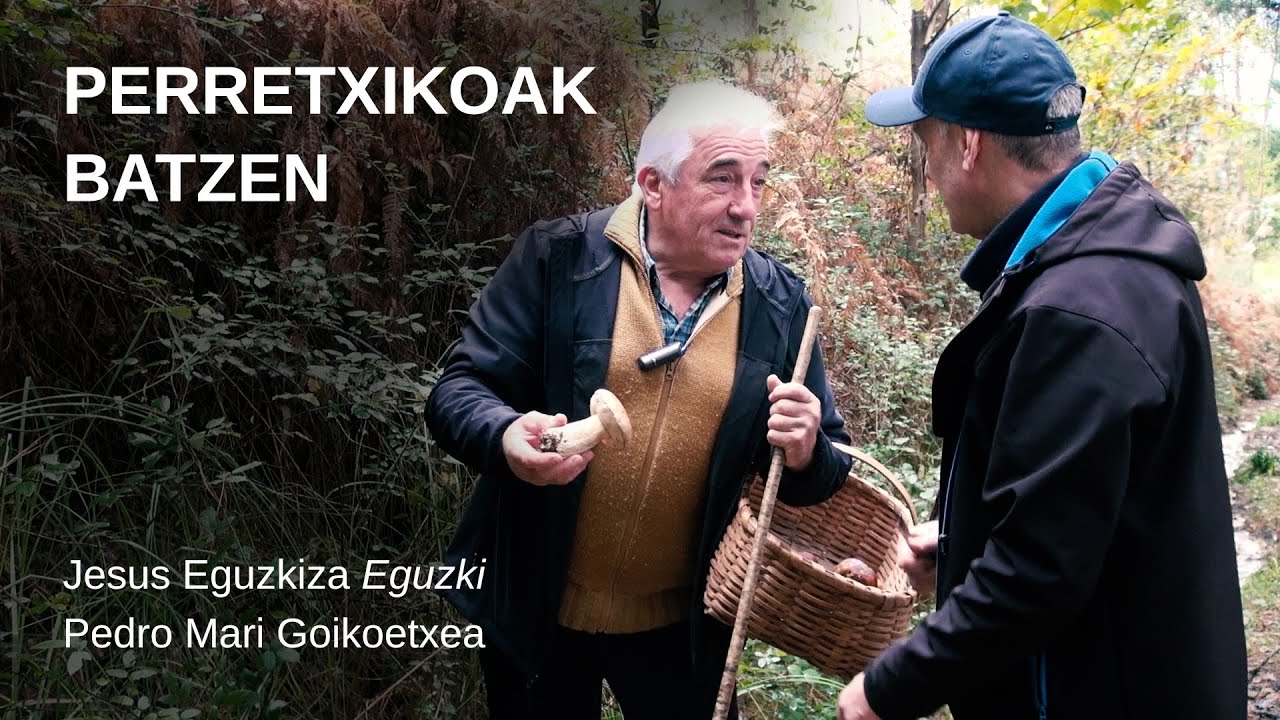 Labayru &minus; Perretxikoak batzen