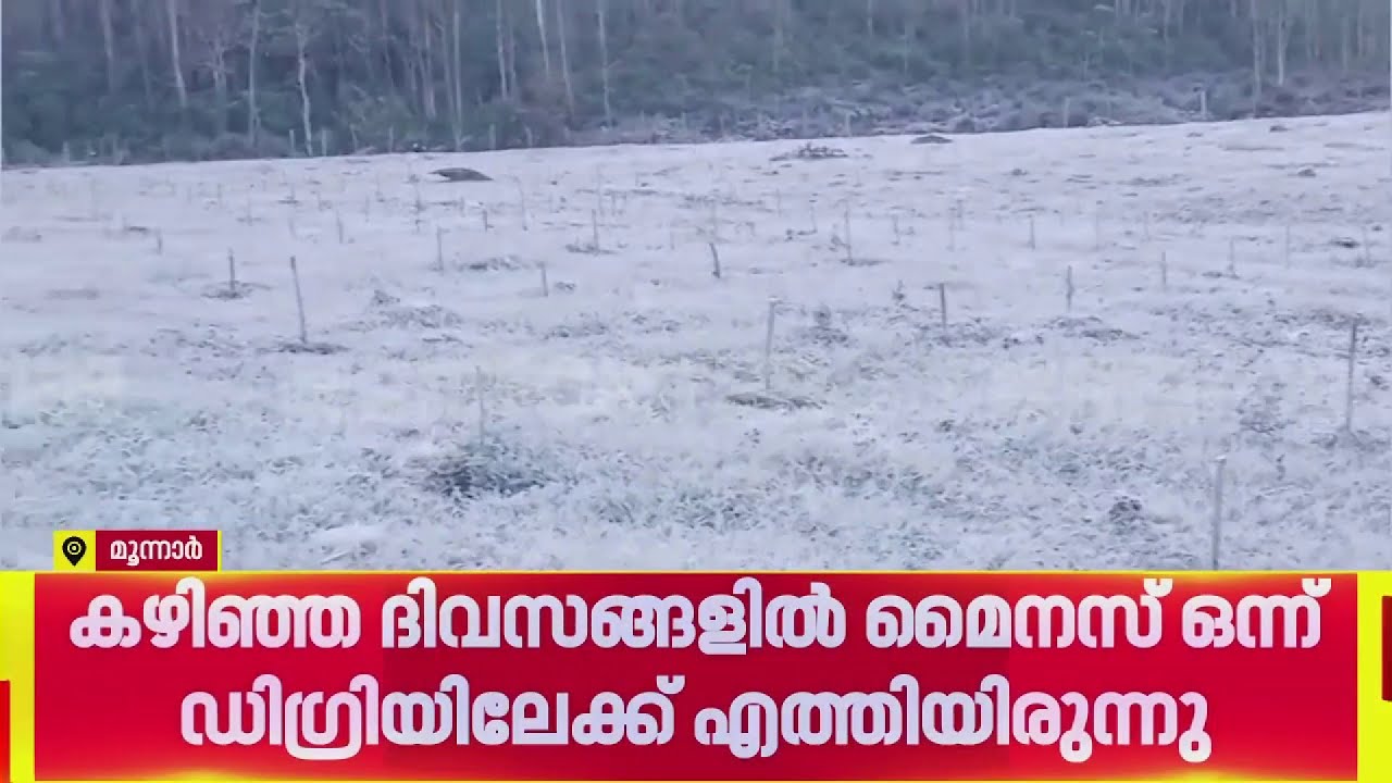നല്ല കിടുക്കാച്ചി കാലാവസ്ഥ; മൂന്ന് ദിവസത്തിന് ശേഷം മൂന്നാറിൽ പൂജ്യം ഡിഗ്രി സെൽഷ്യസ് | Munnar Climate