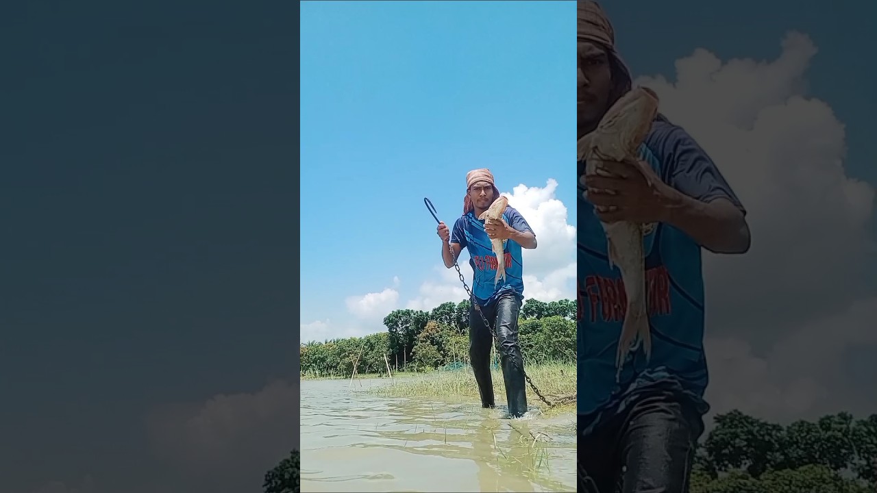 6 KG Hilsa Fish Catching Technique #fishing #shorts #ilish