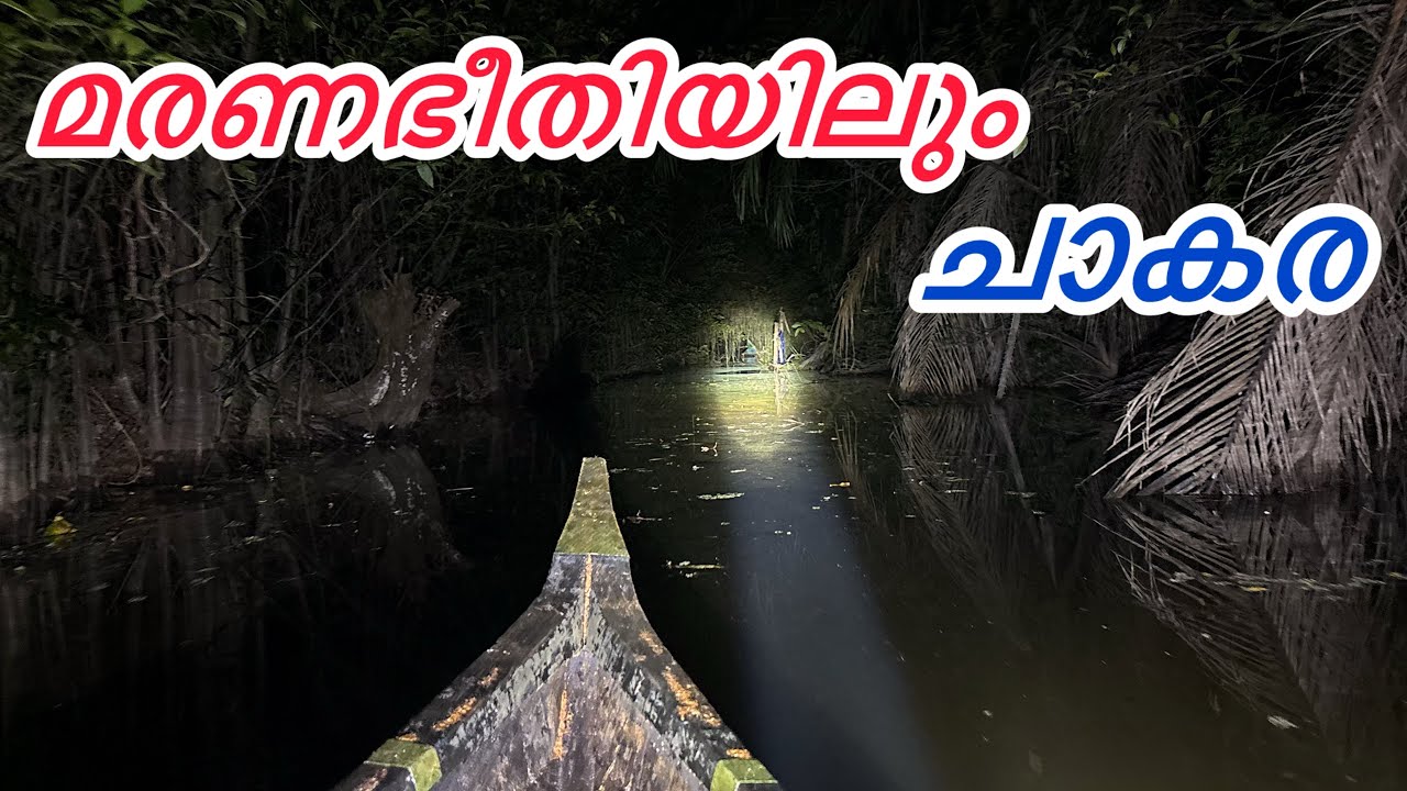 മരണ ഭയം ഇല്ലെങ്കിൽ വള്ളം നിറയെ മീൻ ചാകര ആണ് 