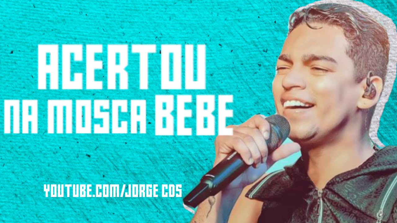 DEVINHO NOVAES - ACERTOU NA MOSCA BEBE (MUSICA NOVA 2020)