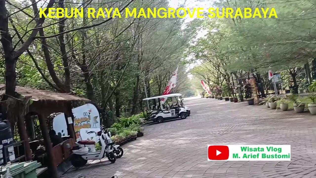 KEBUN RAYA MANGROVE SURABAYA, wisata ilmu pengetahuan botani yang asri dan teduh di kota Surabaya