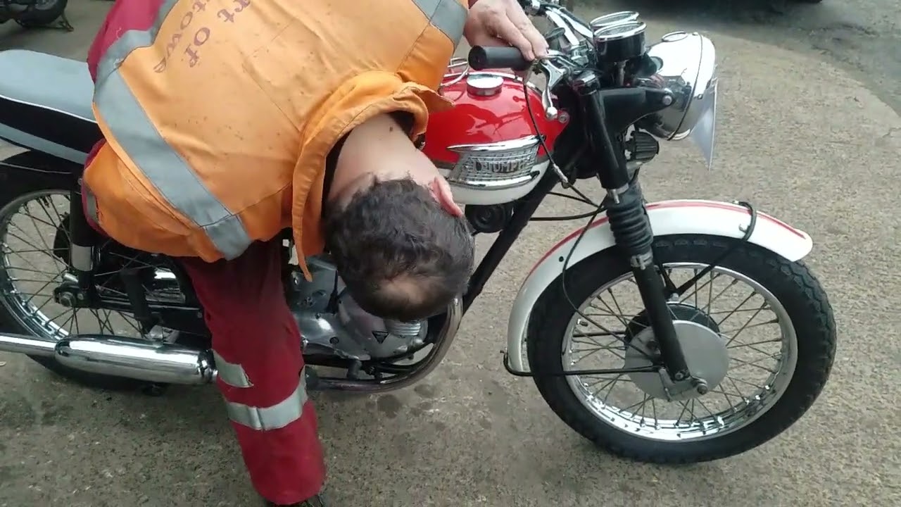 1964 Triumph Tiger 90 350cc at Andy Tiernans #08743TRI