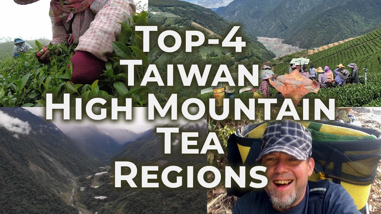 Top-4 Taiwan High Mountain Tea Regions | Eco-Cha Teas