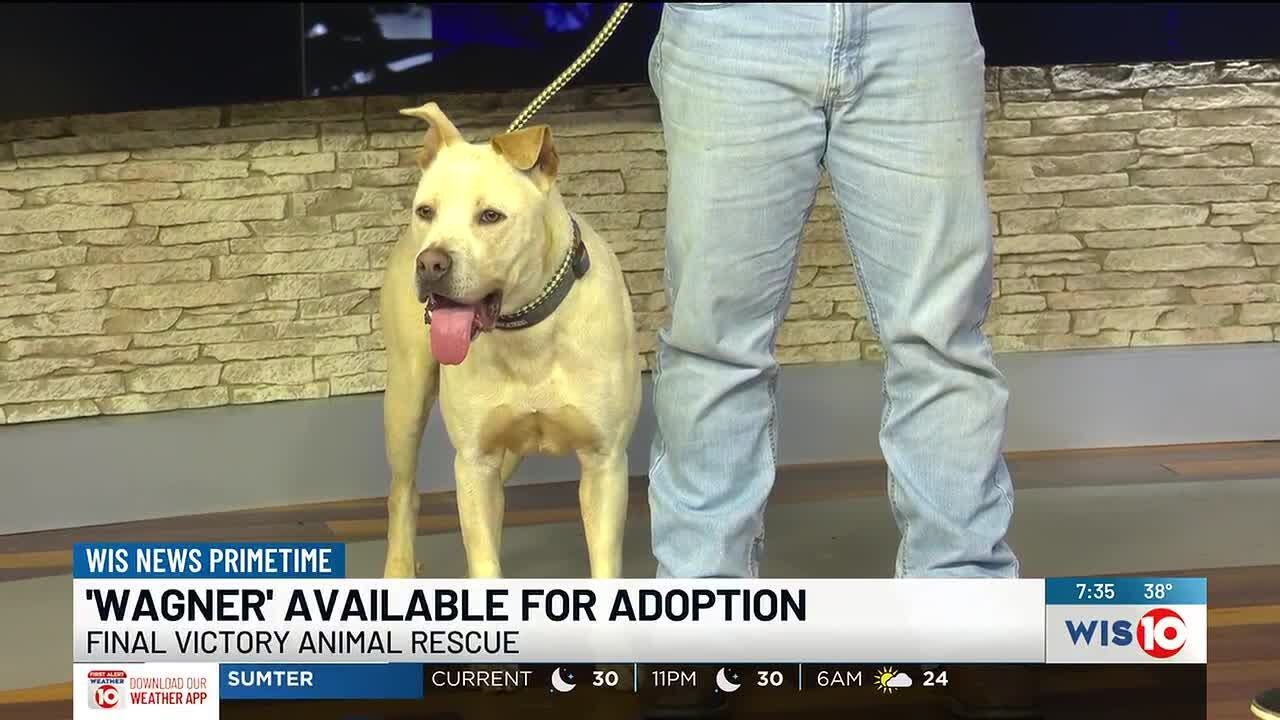 Primetime Pups: Meet Wagner!
