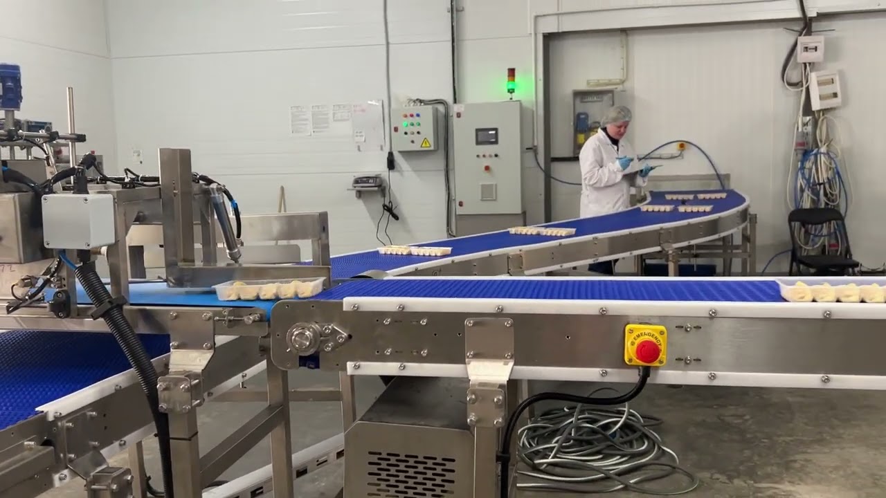 【煎饺生产线】#dimsumfrozen #dumplingmaker #dumplingmakingmachine #gyoza #productionline