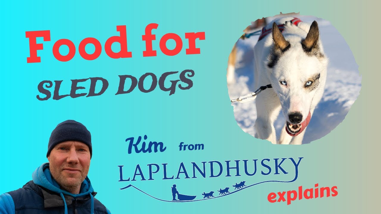 Food for sled dogs