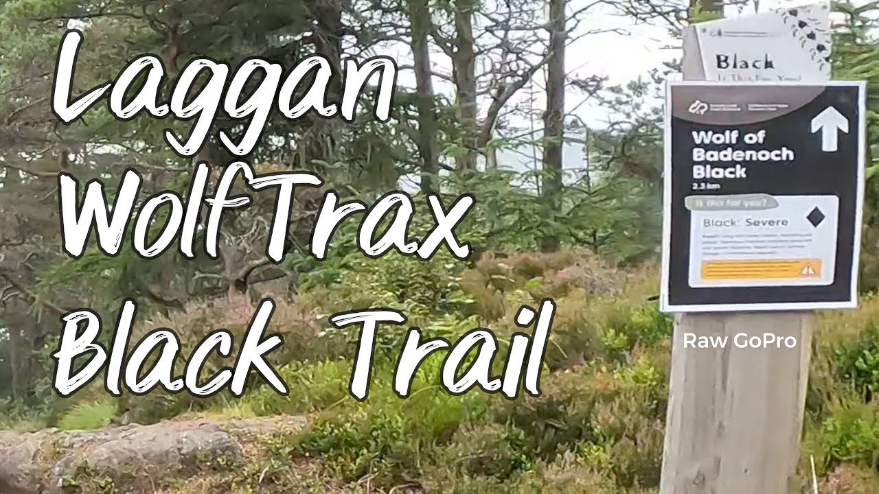 Wolf Of Badenoch Black - RAW GoPro - Laggan WolfTrax Mountain Bike Trail Centre Scotland