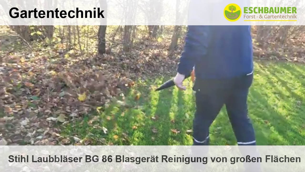 Stihl Laubbläser BG 86 Blasgerät Reinigung von großen Flächen