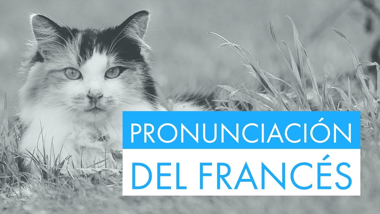 Practica la pronunciación del francés con frases útiles y fáciles