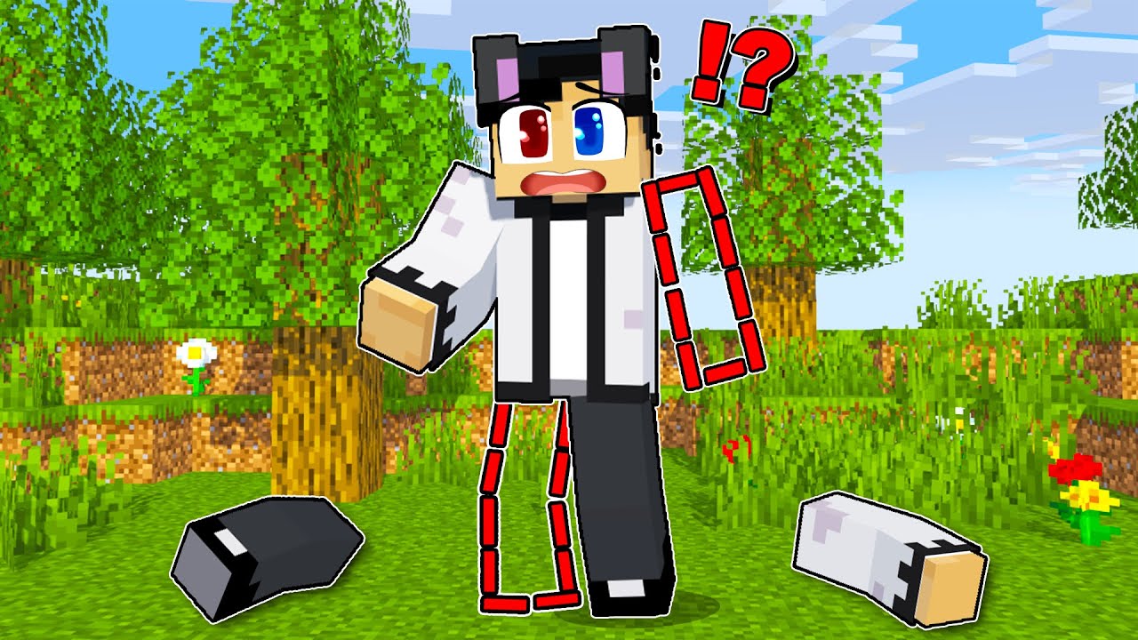 Raizu LOSE His Body Parts in Minecraft!