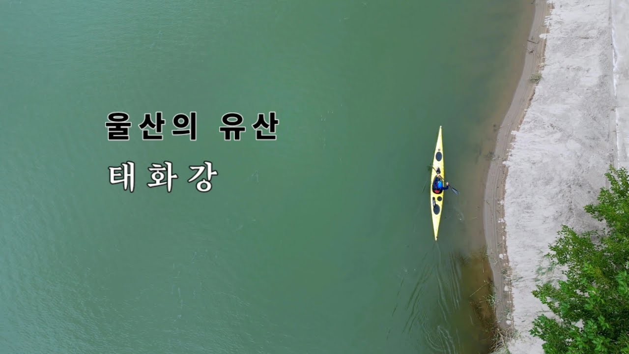 ● 울산의 유산 태화강