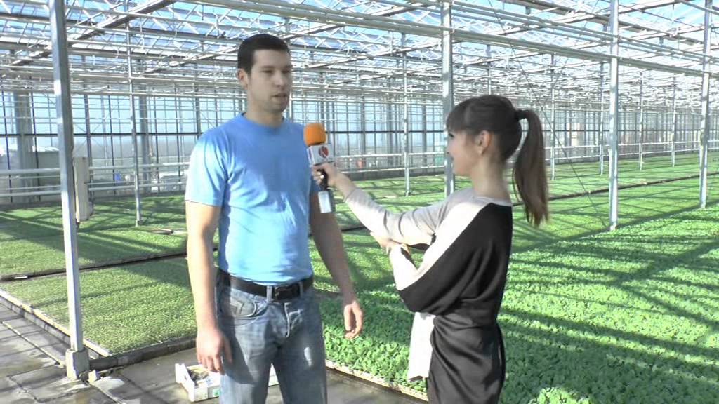 Grow Group Palántanevelő Kft. 2014