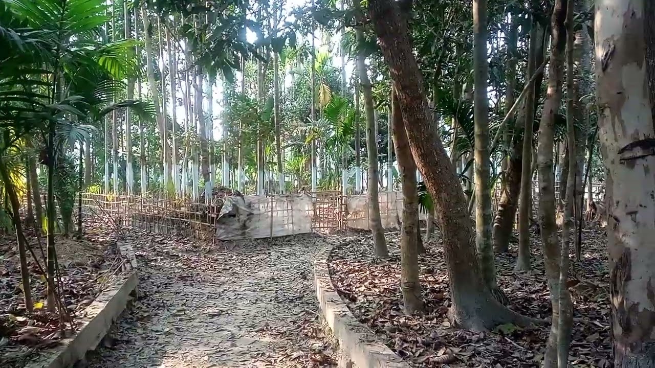আমাদের গ্রাম