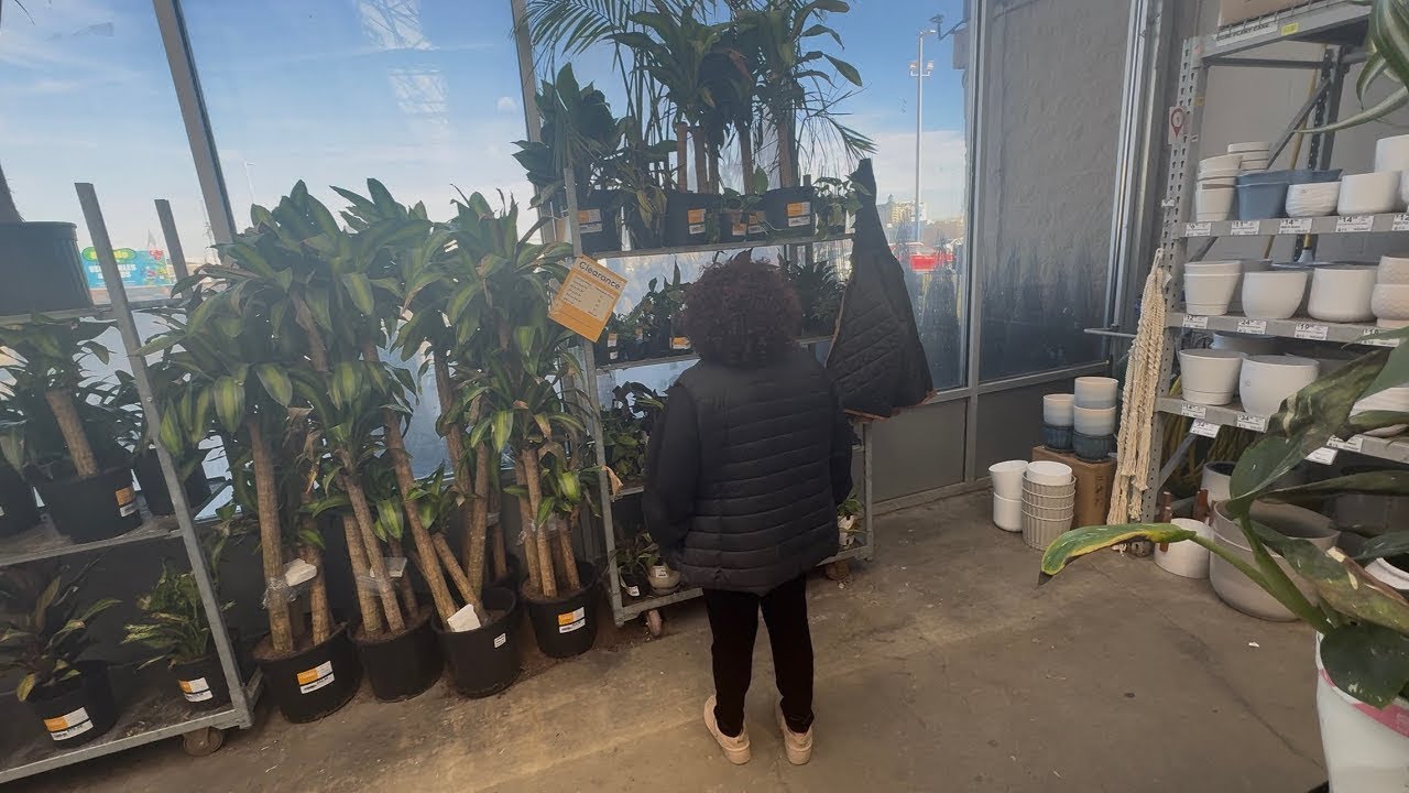 Plant Life 🌱🌱🪴🪴