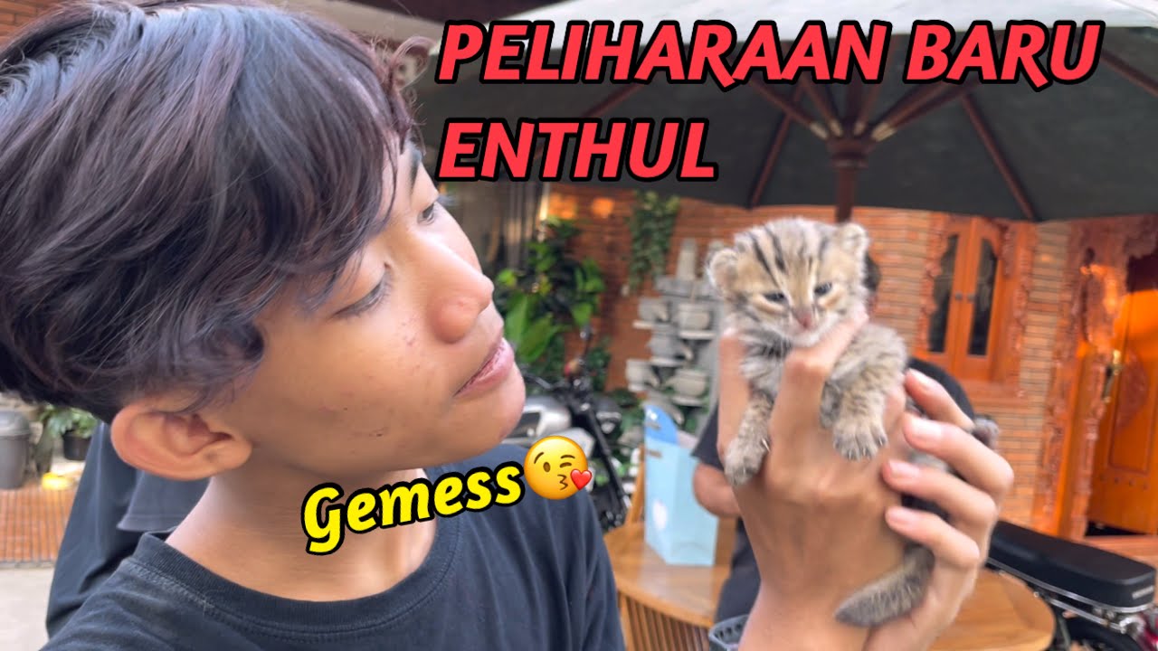 PELIHARAAN BARU ENTHUL