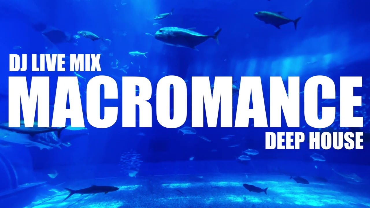 MACROMANCE LIVE DJ MIX, DEEP HOUSE MIX, Stefano Albanese, Aron Volta, Dennis Cruz, Traumer, etc..