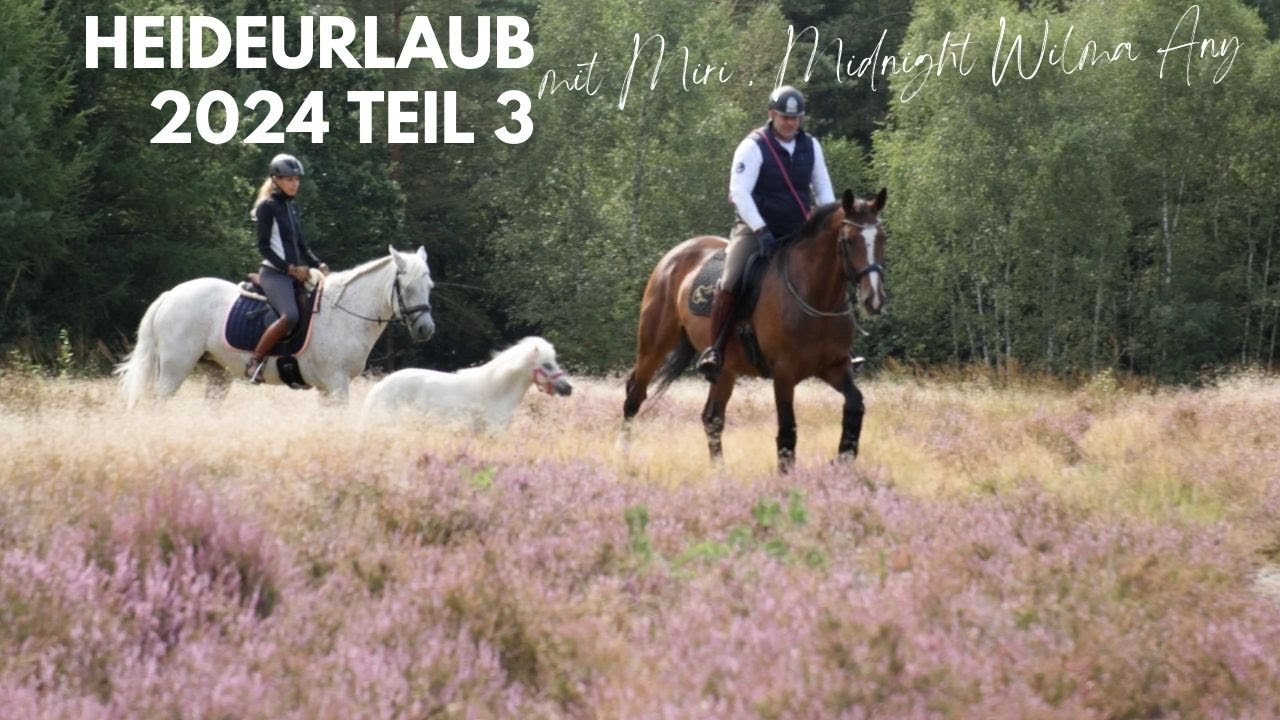 Urlaub mit Pferden in der Heide 2024 - Teil 3 - Schwimmen im Heide See