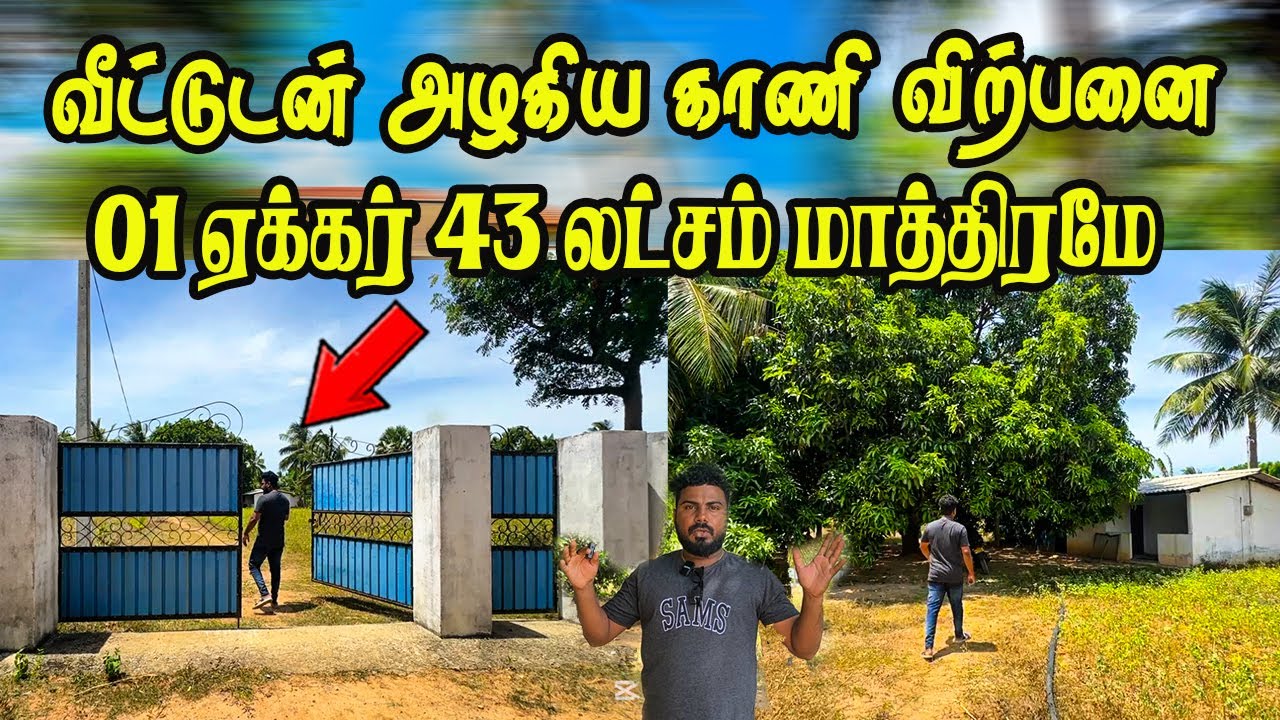 மலிவு விலையில் வீட்டுடன் அழகிய காணி விற்பனைக்கு - அனைத்து வசதிகளுடன் 