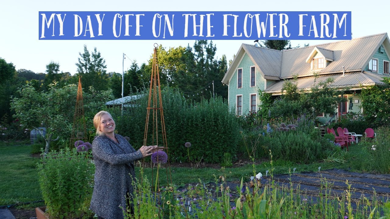 My day off on the Flower Farm🌺Vlog | New Garden Art!