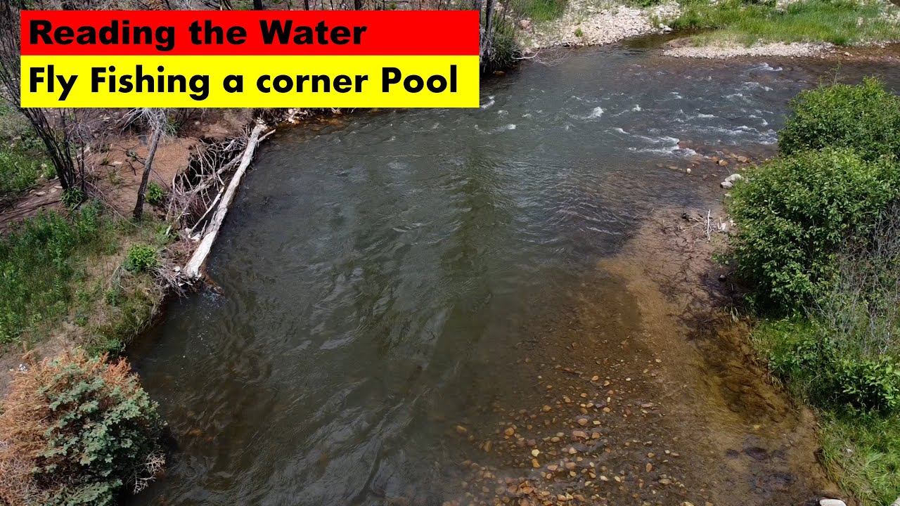 Reading the water: Fly Fishing a Corner Pool